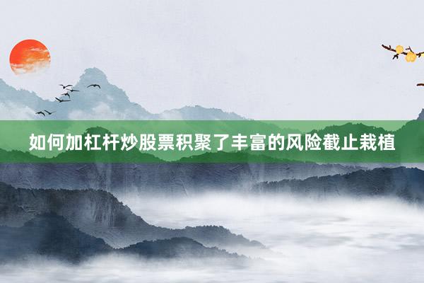 如何加杠杆炒股票积聚了丰富的风险截止栽植