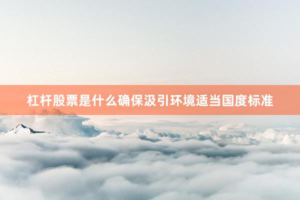 杠杆股票是什么确保汲引环境适当国度标准