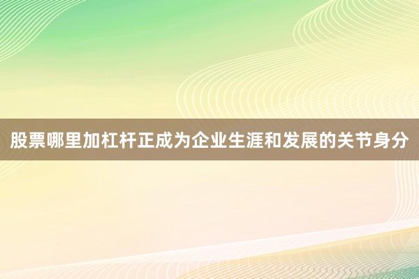 股票哪里加杠杆正成为企业生涯和发展的关节身分