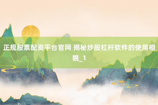 正规股票配资平台官网 揭秘炒股杠杆软件的使用相貌_1
